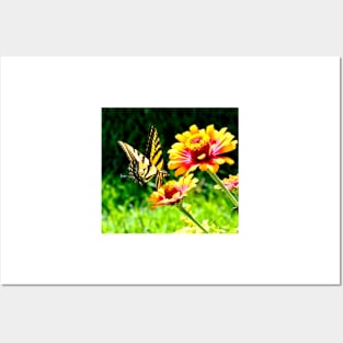 Yellow Butterfly on a Flower Posters and Art
